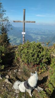 Foto von Christine Arnold entlang der Tour