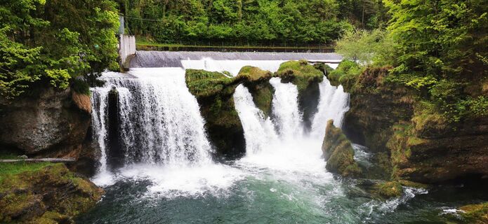 Фото с сайта Klaus Lehner во время экскурсии