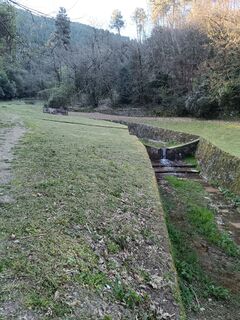 Fotografia z Claudio Bonin na trase