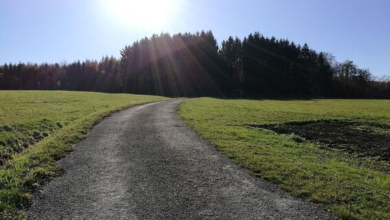 Von Schilbach über Seubtendorf zum Triebigsbach