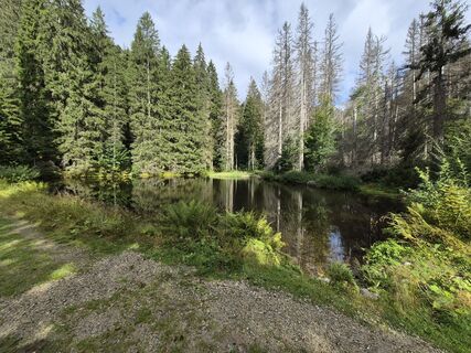 Foto von Wollomator entlang der Tour