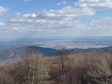 Photo de Erich B le long du parcours
