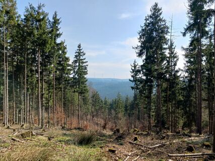 Foto von Burgim65 entlang der Tour