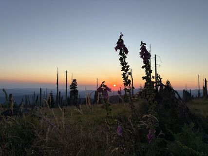 Foto von Egon Dullinger entlang der Tour