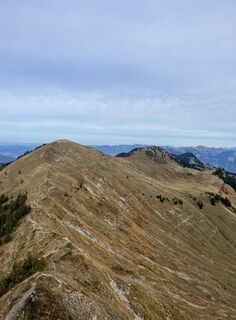 Foto von Aurelian Böhler entlang der Tour