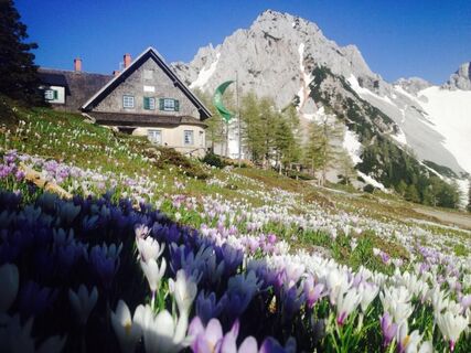 Klagenfurter Hütte im Frühling