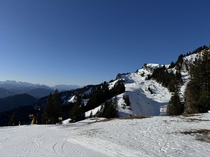 Photo de Micki le long du parcours