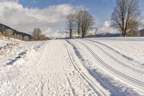 20240125_Kulmberg-Runde_2381.jpg