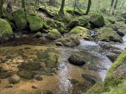 Fotografija s spletne strani Adnan Cemal na poti