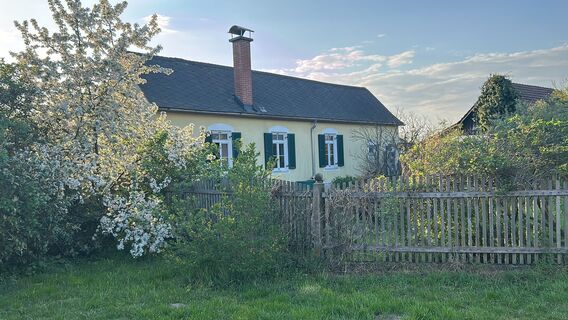 Fotografia z Johann Pegrin na trase