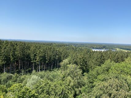 Foto von justasimpleguy entlang der Tour
