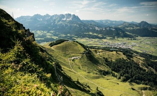 Blick von der Hoferschneid auf den Harschbichl