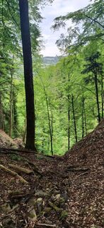Foto von Sabine Krohn entlang der Tour