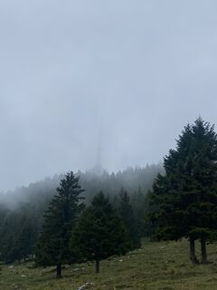 Foto von Sven Krieblin entlang der Tour