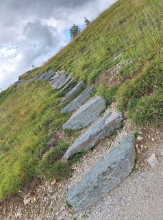 Fotografia z Dagmar Hofer na trase