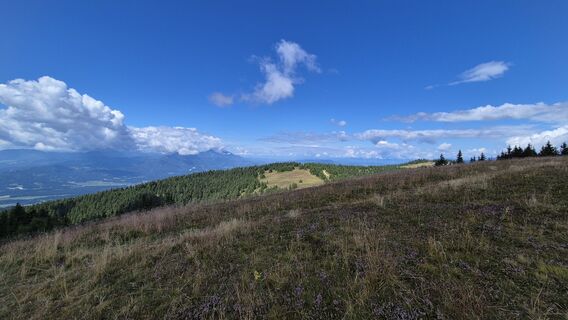 Fotografie de la Andreja de-a lungul turului
