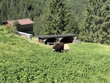 Photo de Damian Szostek le long du parcours