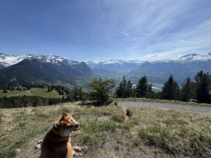 Foto von Rolf Litscher 1 entlang der Tour