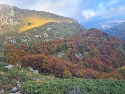 Fotografia z MassiNencio na trase