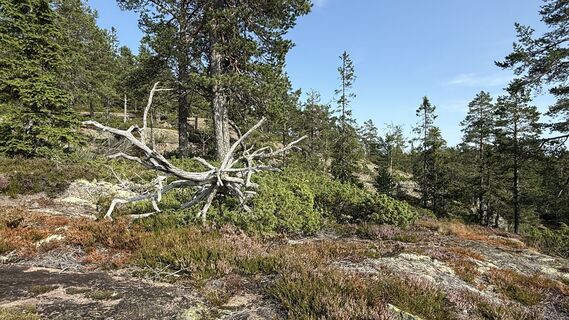 Foto von edefreak entlang der Tour