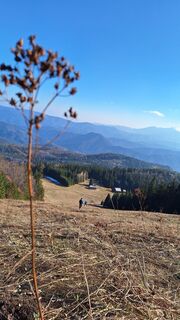 Фото с сайта Aga M во время экскурсии