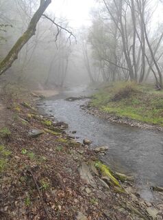 Photo de Làszló Visi le long du parcours