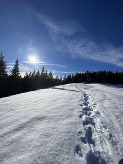 Foto von Schabsi entlang der Tour