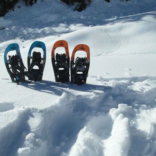 Schneeschuhe Gosau