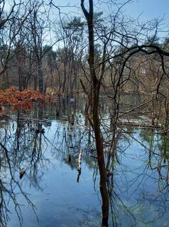 Fotografia z Matthias Zimmermann na trase