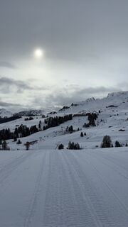 Foto von Lara Weißenborn entlang der Tour