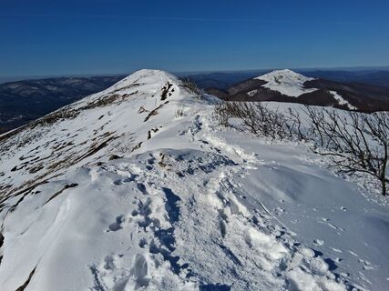 Foto de Jan Wojciechowski 1 a lo largo del recorrido