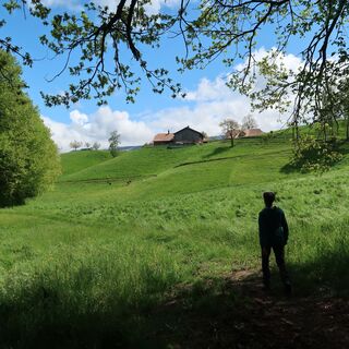 Weg Bärenwart - Wanderung Guggisberg - Rüschegg