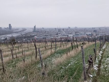 Foto von Poschacher entlang der Tour