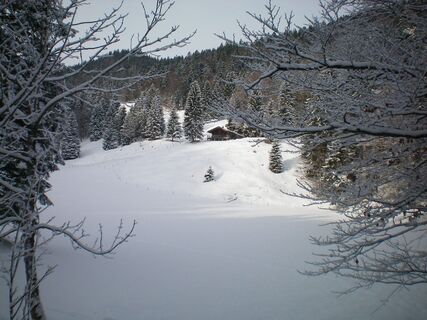 Holzpointalm