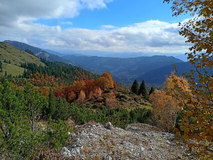 Photo de Monika Jeskova le long du parcours