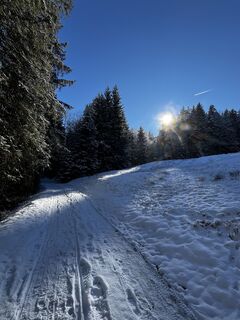 Foto von Susanne entlang der Tour