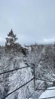 Photo de Ehammann le long du parcours
