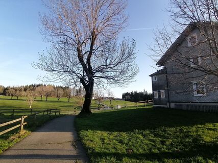 Fotografija s spletne strani Turbinio na poti