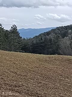 Zdjęcie z Bergpirat wzdłuż trasy