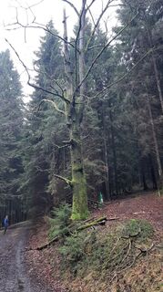 Foto von Georg Meisterjahn entlang der Tour