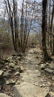 Photo de Peter Burki le long du parcours