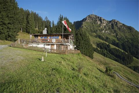 Stanglalm 1