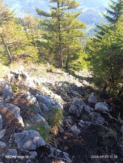 Foto de Meli a lo largo del recorrido