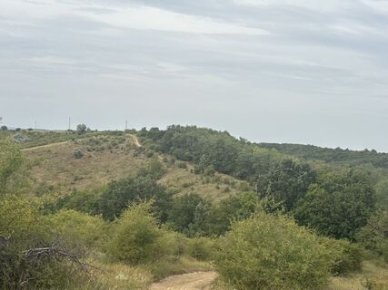Fotografija s spletne strani Várhelyi Alicia na poti