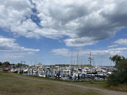 Fotografia z Harald Engel na trase
