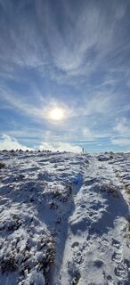 Foto van NiCi Hi langs de tour