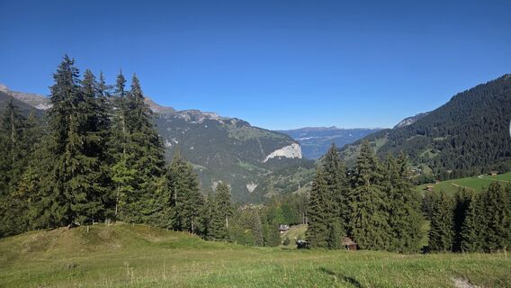 Foto von Hameister entlang der Tour