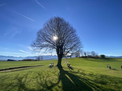 Foto von Sven Krieblin entlang der Tour