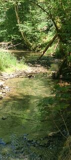 Fotografija s spletne strani vroni1501 na poti