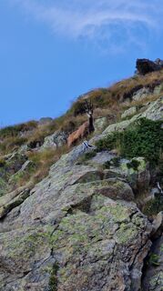 Photo de Fabrizi Mellano le long du parcours